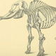 Image: Internet Archive Book Images/Wikimedia Commons